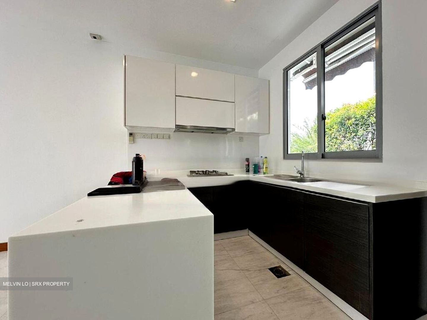 Radiance @ Bukit Timah (D21), Terrace #538369901
